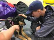 Mill Green Special School